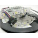 KIT RUBAN LED 5 MÈTRES - 60LED/M - 5050 RGBW - IP65